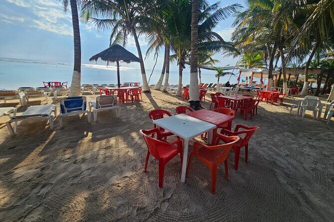 Tour in the Hacienda del Tequila - Who Is This Tour Best For?