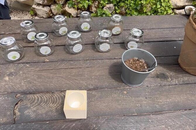 Tour in the heady scents of our garden in Ragusa - Key Points