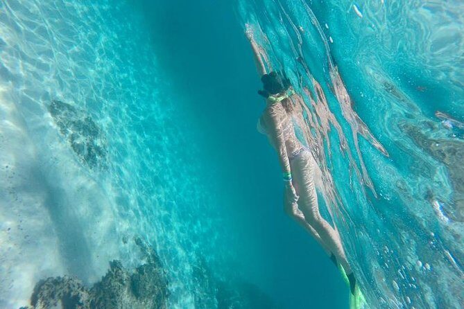 Tour islands Marietas Snorkeling and Nopalera Beach - What to Expect from the Tour