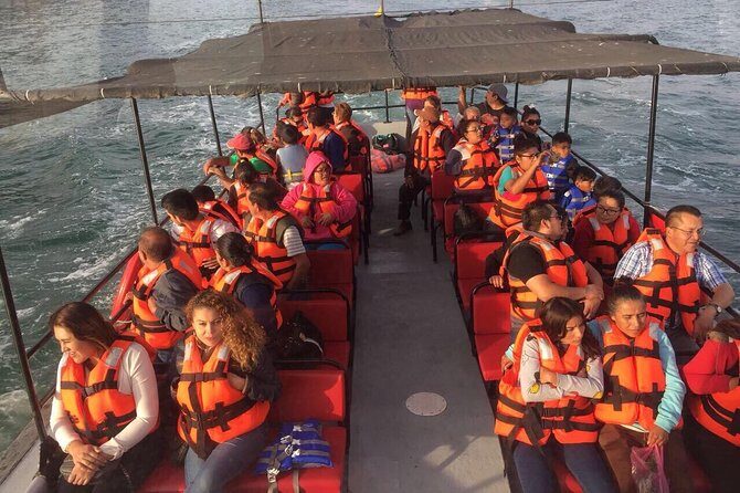 Tour la buffadora/pai pai park/four fours vineyard - A Closer Look at the Tour Experience