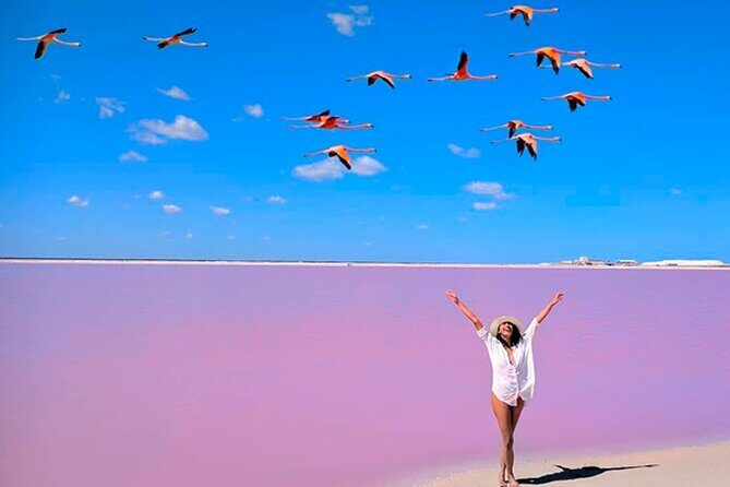 Tour Las Coloradas - An Overview of the Tour Experience