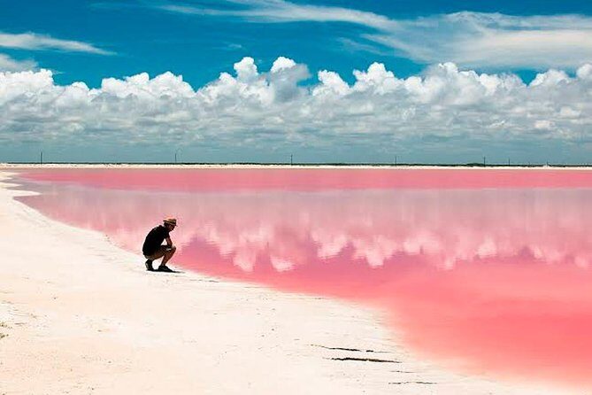 Tour Las Coloradas - Natural Pink Lake only from Playa del Carmen - What Travelers Say