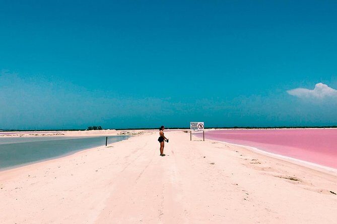 Tour Las Coloradas & Rio Lagartos only from Tulum - Key Points
