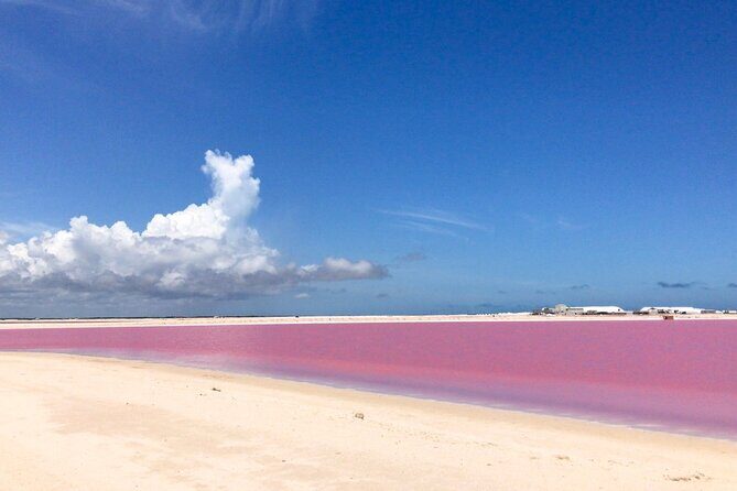 Tour Las Coloradas & Rio Lagartos only from Tulum - Who Should Consider This Tour?