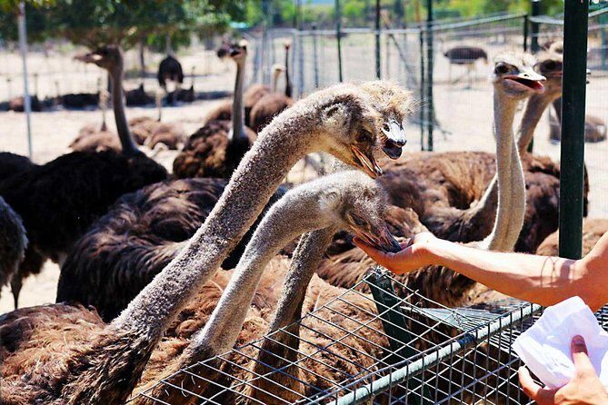 Tour & learn - Final Thoughts