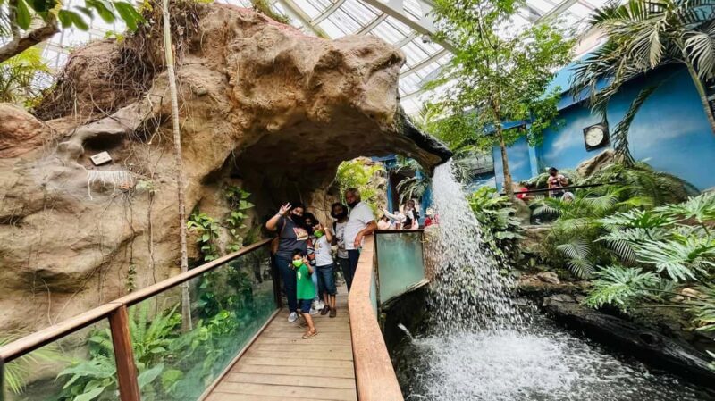 TOUR "Museo del Desierto" + Traslados + Tickets incluidos - The Museum of Birds: A Unique Addition