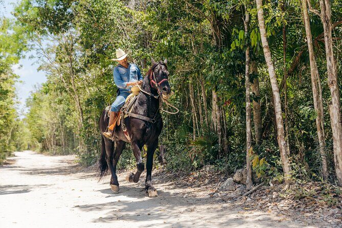 Tour Nature on horseback and cenote - Key Points