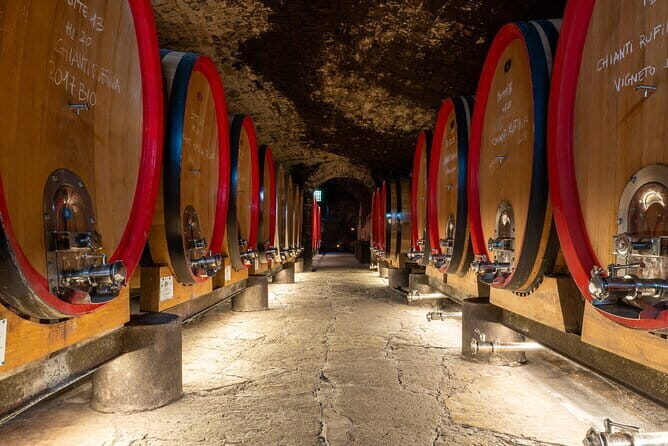 Tour of 900year old secret cellars + tasting of 3 wines and bread with EVO oil - Exploring the History and Setting of Castello del Trebbio