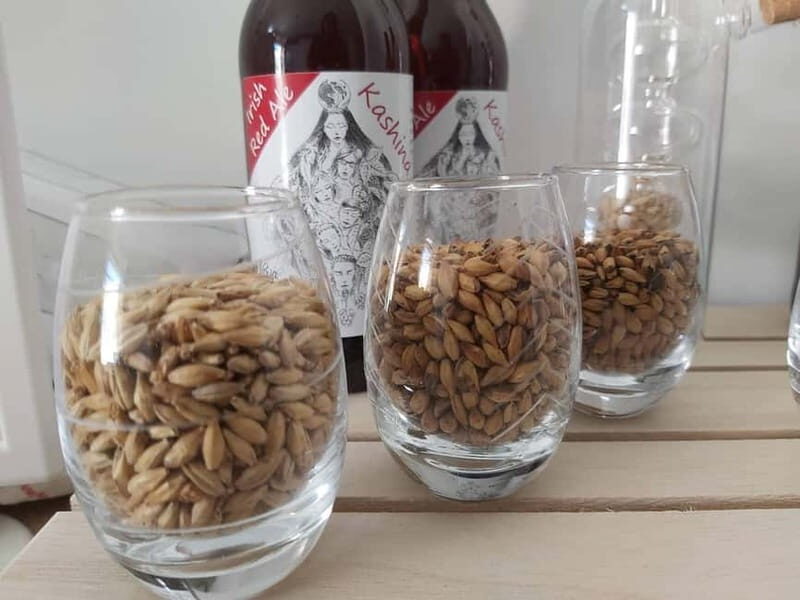 Tour of a craft brewery with tasting - Practical Tips for Your Visit