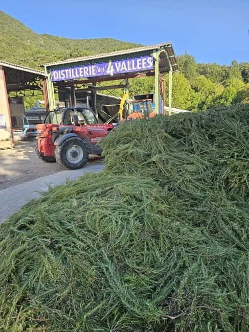 Tour of a family-run lavender essential oil distillery - A Closer Look at the Lavender Distillery Tour