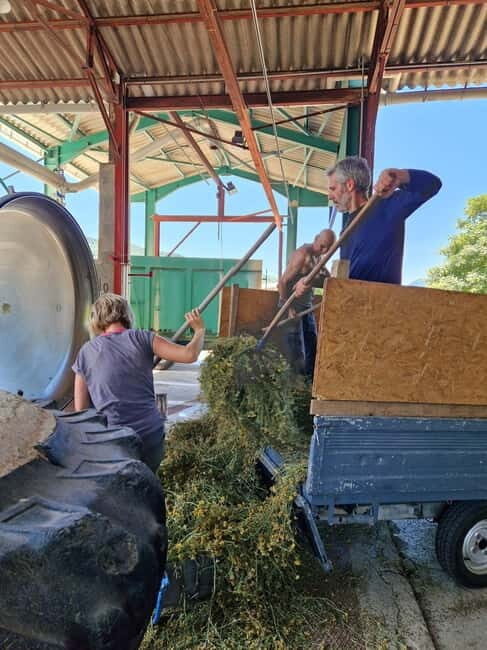 Tour of a family-run lavender essential oil distillery - The Value of this Tour