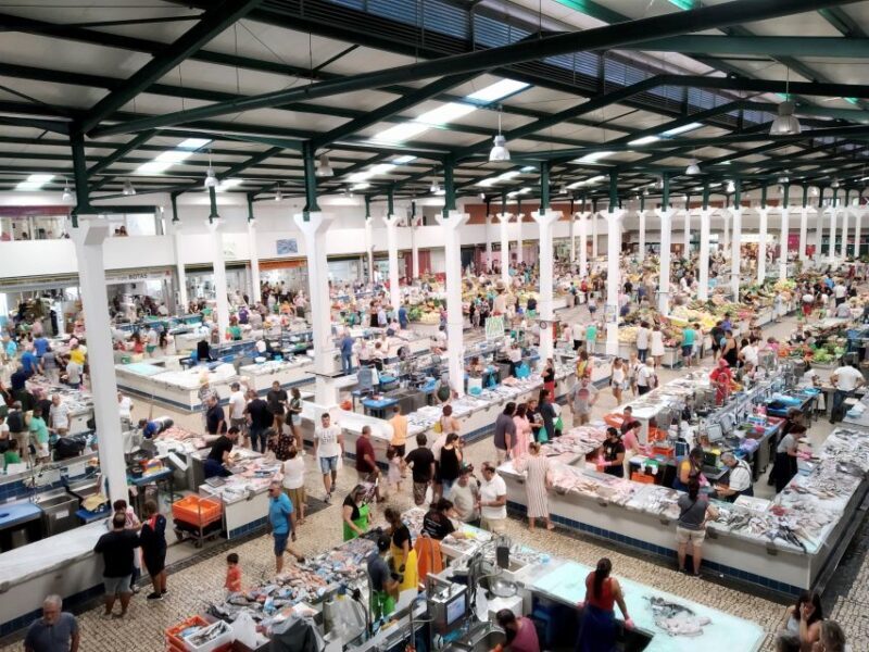 Tour of Arrábida and beautiful landscapes and wine tasting - An In-Depth Look: What’s Included and What to Expect