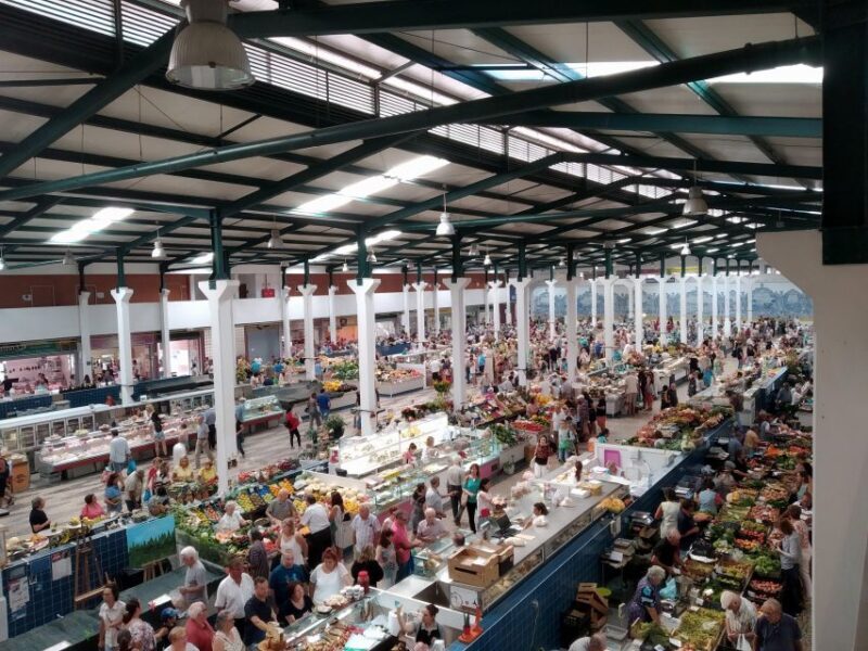 Tour of Arrábida and beautiful landscapes and wine tasting - How the Experience Feels in Practice