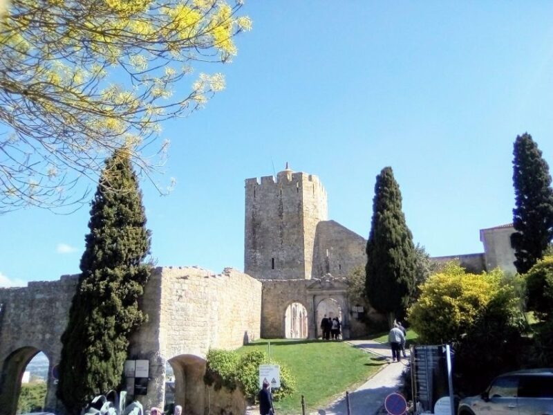 Tour of Arrábida and beautiful landscapes and wine tasting - Final Thoughts