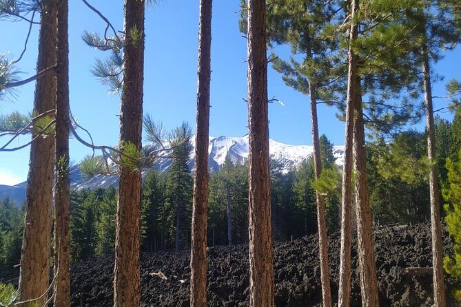 Tour of Etna on foot, food and wine tasting in the Etna winery - Exploring Mount Etna: A Journey Through Lava and Lava Tunnels