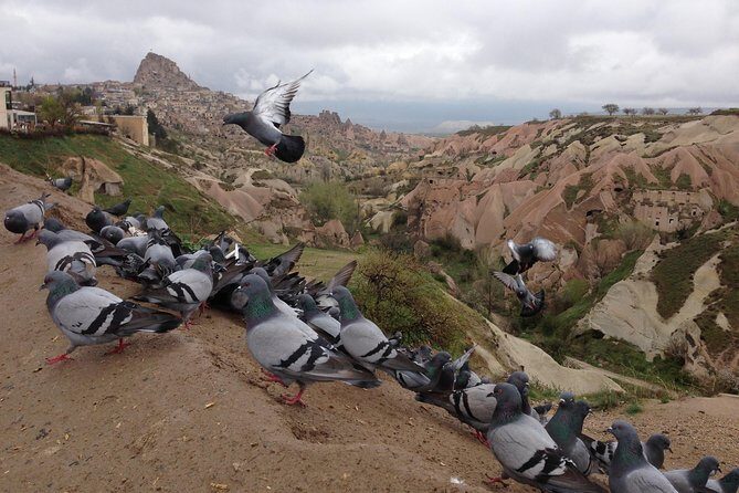 Tour of Highlights of Cappadocia with Lunch - Is This Tour Right for You?