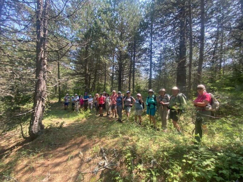 Tour of Korça & The Hidden Gems of Albania, 5 days - The Logistics and Value