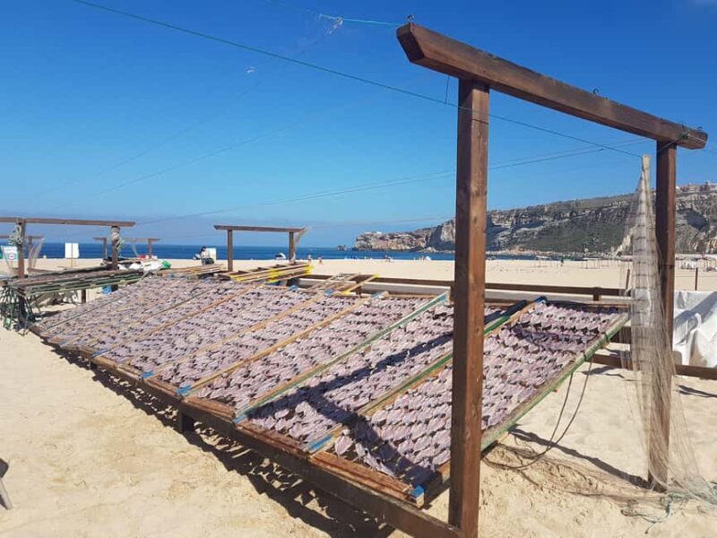 Tour of Nazare by car - The Value and Who Will Love It