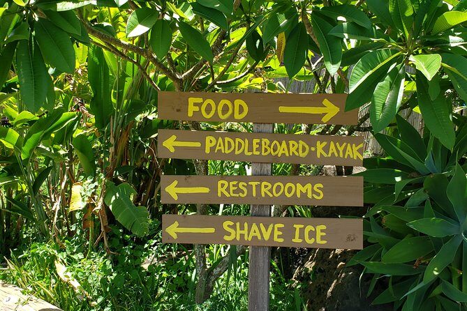 Tour of North Shore & Waimea Waterfall - Who Is This Tour Best For?