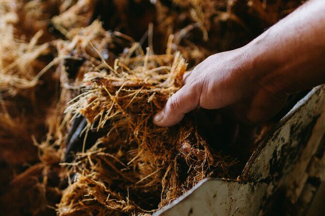 Tour of Puebla and tour of Atlixco (private tour) - The Sum Up