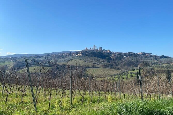 Tour of San Gimignano and Private Wine Experience in Chianti - Final Thoughts