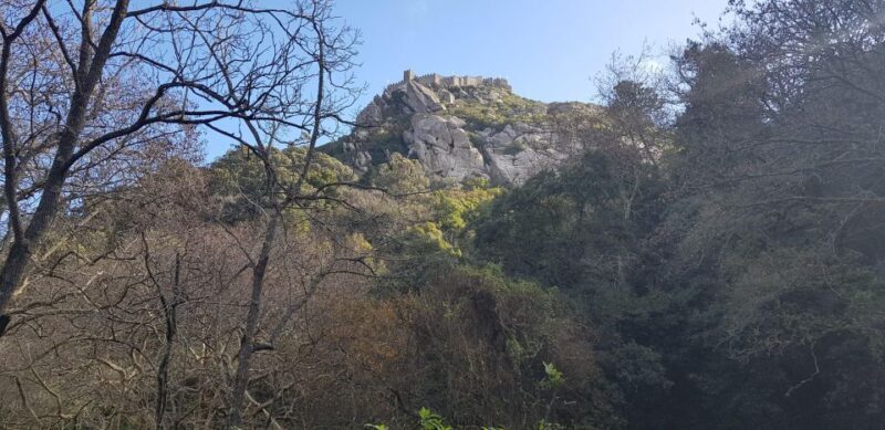 Tour of Sintra 5 hours - Who Is This Tour Best For?