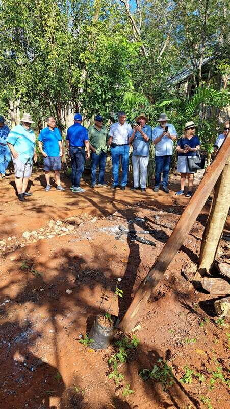 TOUR OF THE 4 BACABES : EXPERIENCE WITH MELIPONA BEES - The Itinerary: From Rituals to Tasting