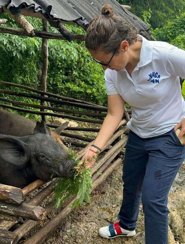 TOUR OF THE 4 BACABES : EXPERIENCE WITH MELIPONA BEES - What You’ll Experience