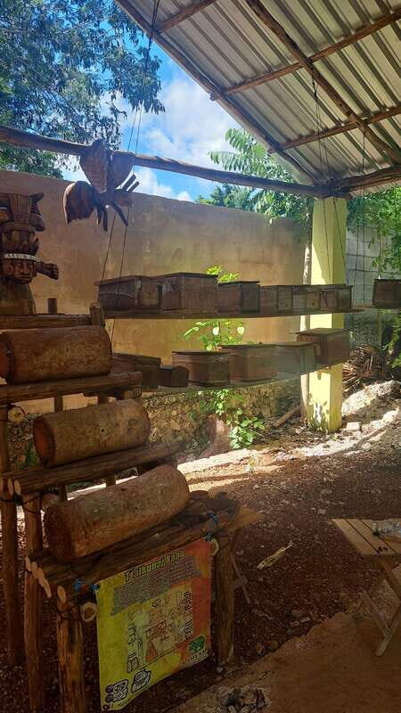 TOUR OF THE 4 BACABES : EXPERIENCE WITH MELIPONA BEES - The Experience: What Past Visitors Say