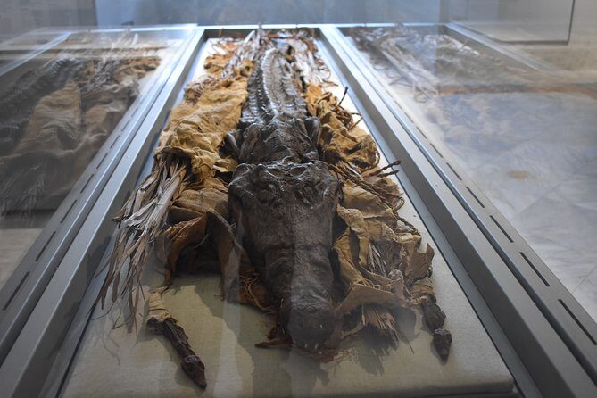 Tour of the Archaeological Museum of Naples - The Practicalities: How It Fits Into Your Trip