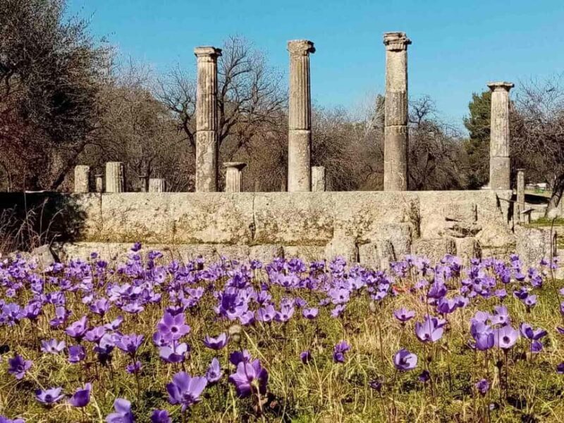Tour of the archaeological site of Olympia by an Italian-Greek archaeologist - What You Can Expect During the Tour