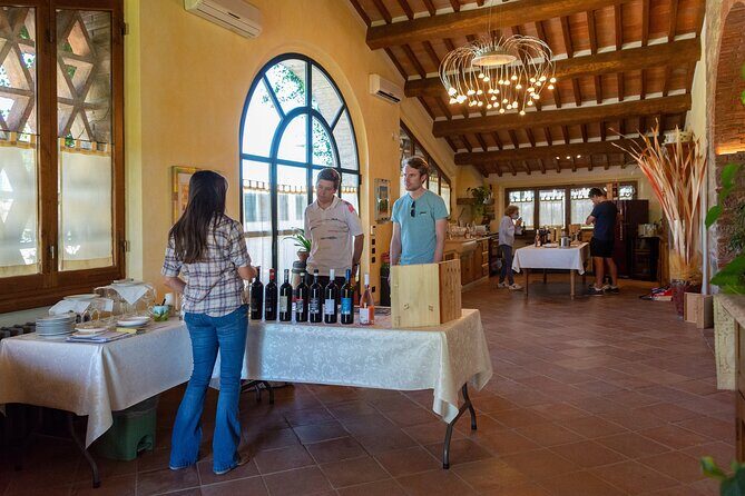 Tour of the cellar and tasting of 6 wines - Exploring the Charm of a Wine Cellar Tour and Tasting at Cantalici in Lucca