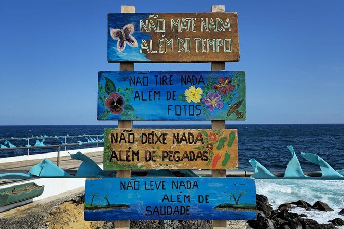 Tour of the coast of Terceira Island - Who Is This Tour Best For?