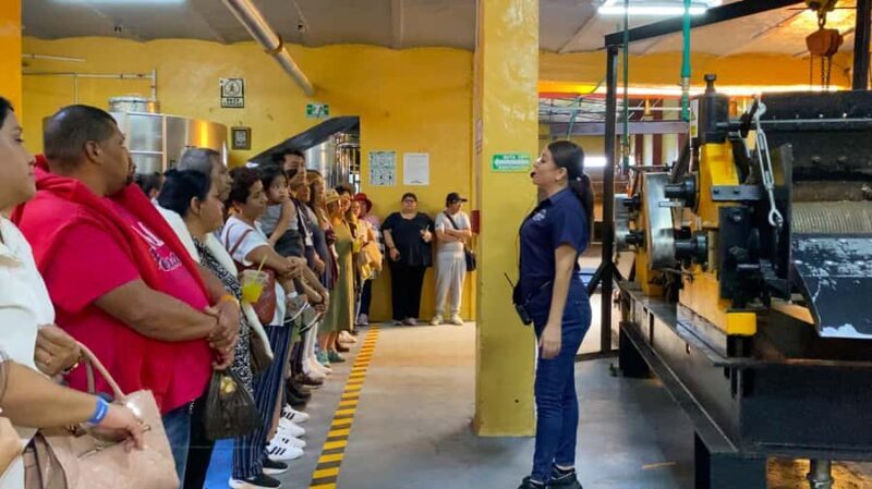 Tour of the La Aguirreña tequila factory with tasting in Tequila, Jalisco. - Exploring the Journey of the Tour