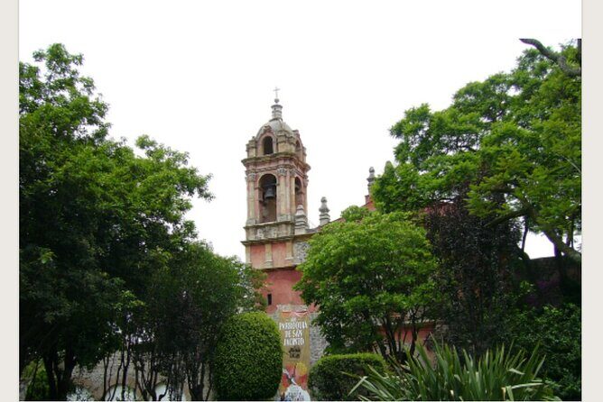 Tour of the picturesque San Angel neighborhood - Discovering San Angel: An Authentic Mexico City Neighborhood Tour