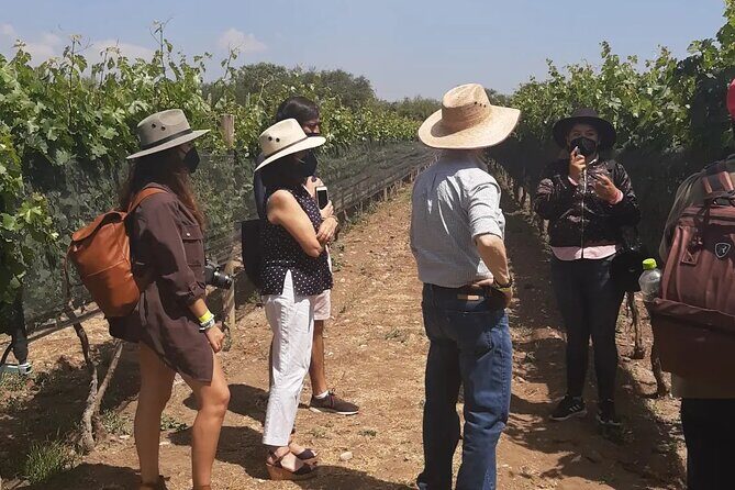 Tour of the Tradition and History of Cheese and Wine in Querétaro - Frequently Asked Questions