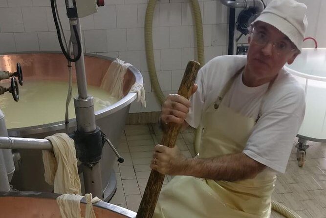 Tour Parmigiano Reggiano dairy and Parma ham - A Deep Dive into the Experience