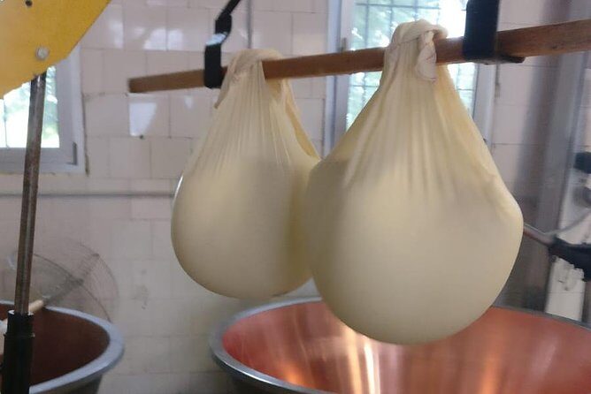 Tour Parmigiano Reggiano dairy and Parma ham - What the Numbers Tell Us