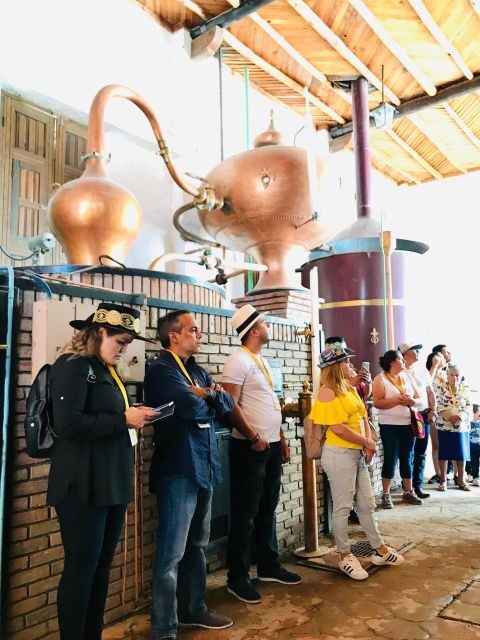 Tour "Parras de la Fuente" + Guía + Traslados + Tickets - Final Thoughts