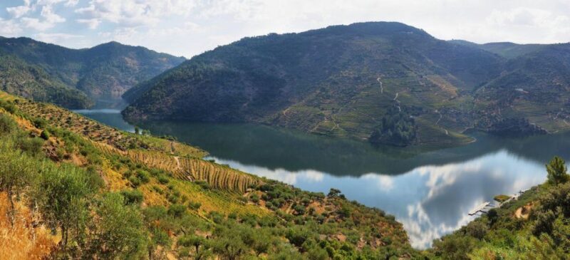 Tour Porto Douro Valley | The richness of Wine | ALL INCLUD. - Final Thoughts