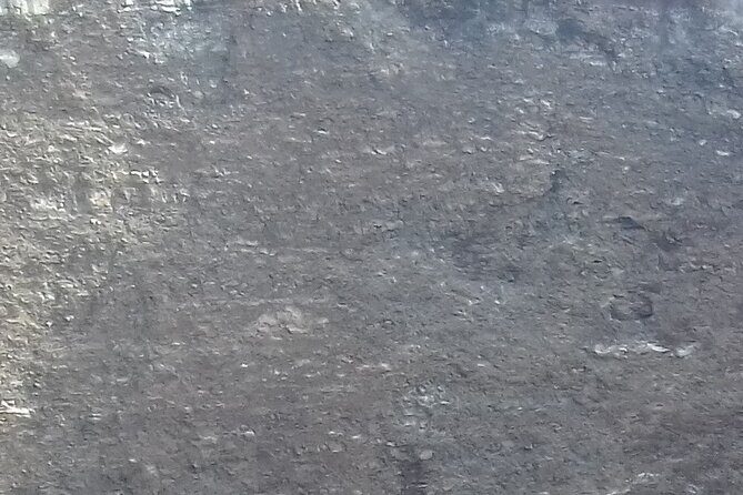 Tour Positano & Sorrento with a lunch stop - Practical Considerations