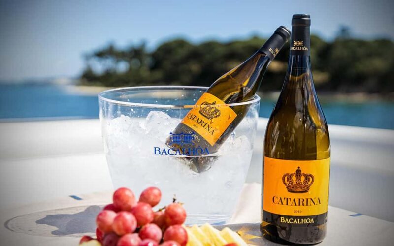 Tour Private Wine Tasting - The Quality of the Wine & Guides