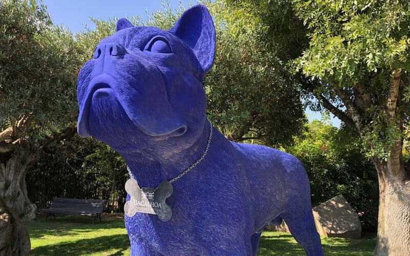 Tour Private Wine Tasting - FAQs