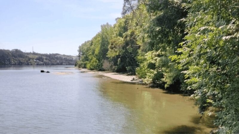 Tour Stand Up Paddle - Dessert Islands Douro - Pick up point - Pricing and Value