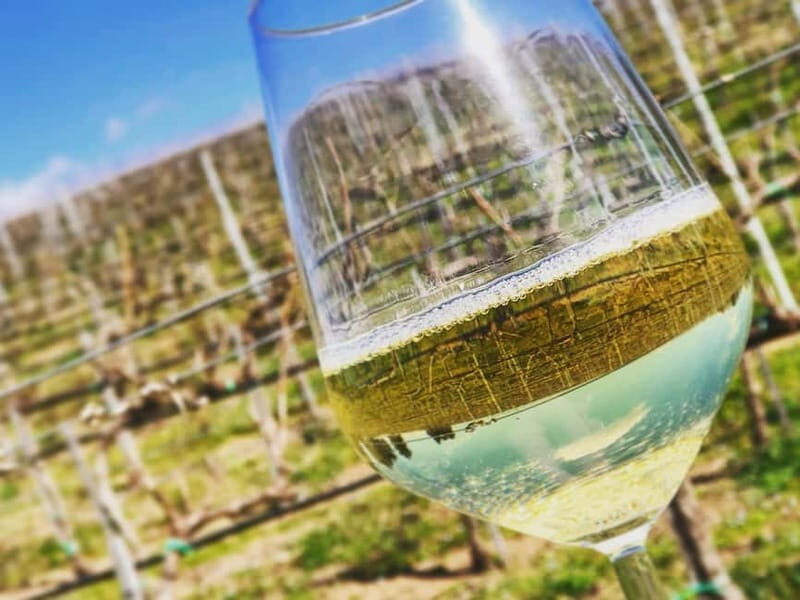 Tour & Tasting at Cantine Capitani - Analyzing the Value