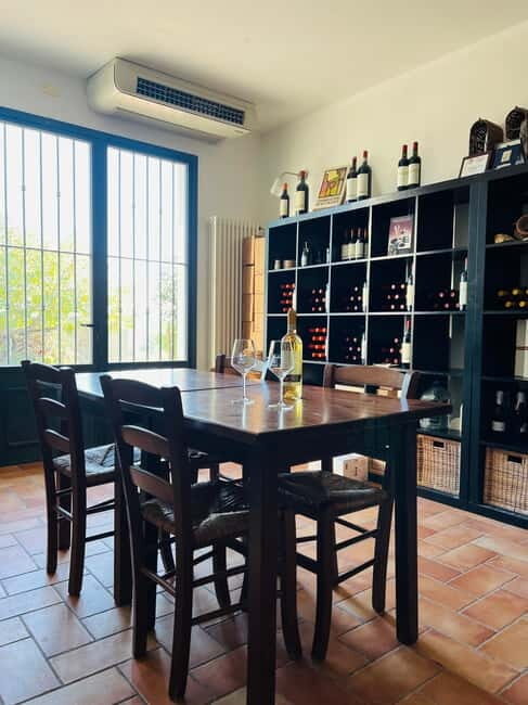 Tour & tasting at Tenuta la Viola - A Closer Look at the Experience