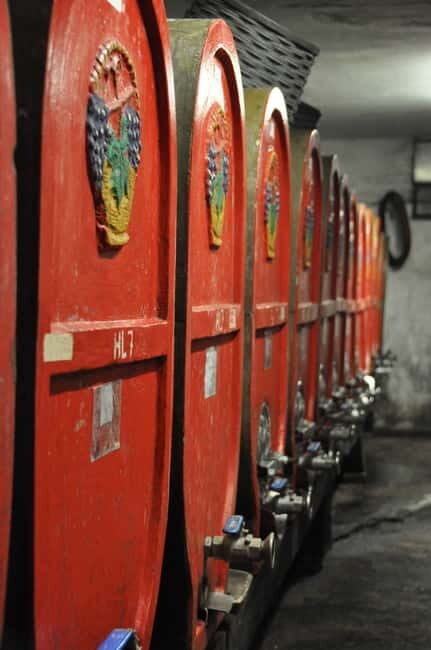 Tour & tasting at Tenuta la Viola - Is It Worth the Price?