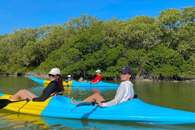 Tour the Mangroves in Kayak by Isla Holbox - Who Is This Tour Best For?