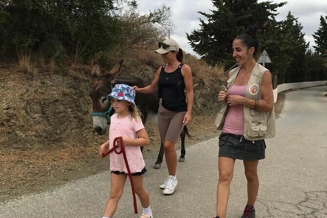 Tour the Sanctuary and Walk with the Donkeys and Share their Love - Practical Details to Keep in Mind