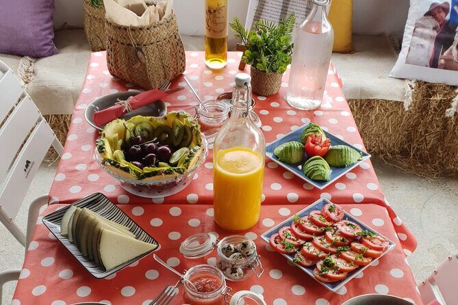 Tour the Sanctuary and Walk with the Donkeys and Share their Love - Authentic Reviews from Past Participants